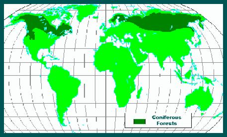 Coniferous Forest Biome Map
